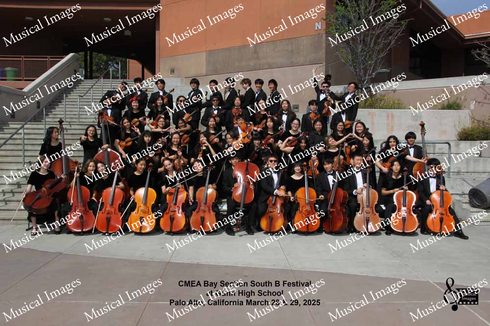 Musical Images
